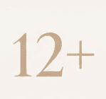 Interior style presets icon